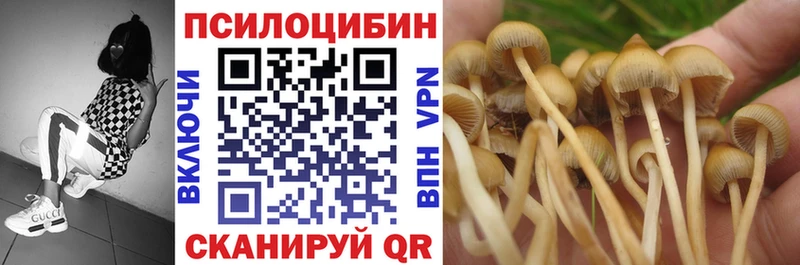 как найти наркотики  Нефтегорск  Псилоцибиновые грибы Psilocybe 